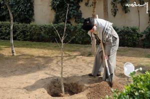 کاشت نهال توسط رهبر انقلاب در روز درختکاری