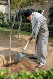 کاشت نهال توسط رهبر انقلاب در روز درختکاری