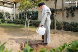 کاشت نهال توسط رهبر انقلاب در روز درختکاری