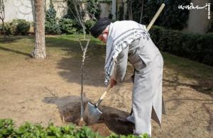 کاشت نهال توسط رهبر انقلاب در روز درختکاری