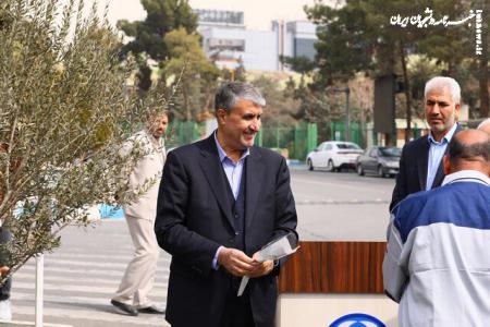 کاشت نهال زیتون به یاد شهدای مقاومت