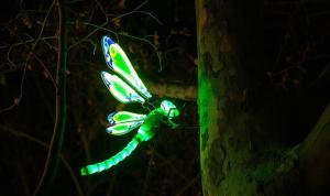  جشنواره نور تهران 