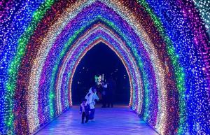  جشنواره نور تهران 