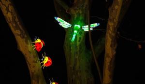  جشنواره نور تهران 