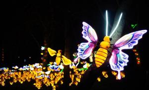  جشنواره نور تهران 