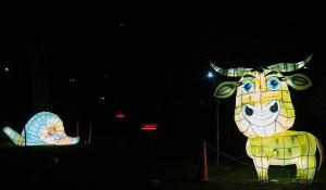  جشنواره نور تهران 