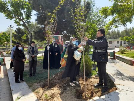 شهرداری به نوزادان متولد دی‌ماه ۱۴۰۳ و بعد آن هدیه می‌دهد