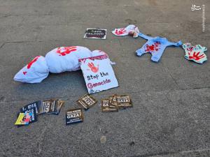 همبستگی مردم بلژیک با فلسطین و غزه +عکس