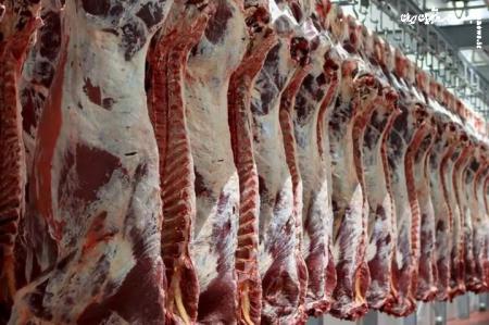 فردا ثبت سفارش جدید گوشت قرمز و چای آغاز می‌شود