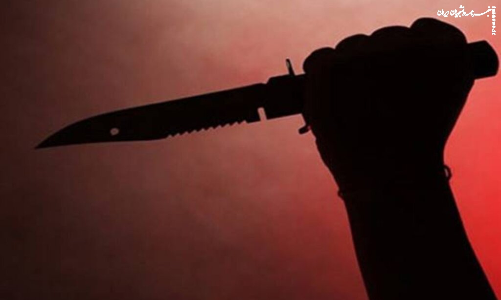 زورگیری از ۲ دانشجوی مهندسی