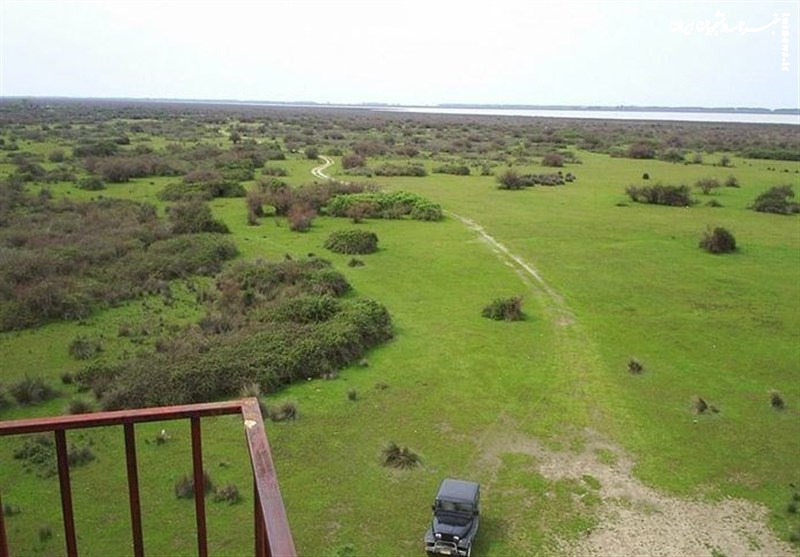 پتروشیمی میانکاله دیگر وجاهت قانونی ندارد