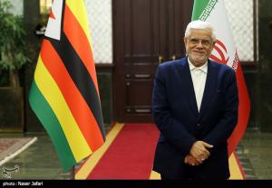 دیدار معاون رئیس جمهور زیمبابوه با عارف +عکس