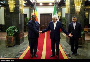 دیدار معاون رئیس جمهور زیمبابوه با عارف +عکس