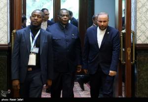 دیدار معاون رئیس جمهور زیمبابوه با عارف +عکس