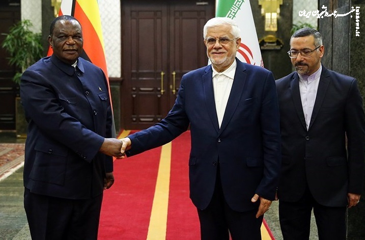 دیدار معاون رئیس جمهور زیمبابوه با عارف +عکس