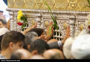 میلاد حضرت معصومه(س) در آیینه شور و شعف +عکس