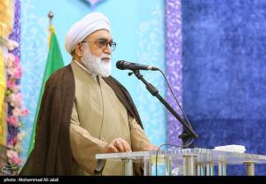 میلاد حضرت معصومه(س) در آیینه شور و شعف +عکس