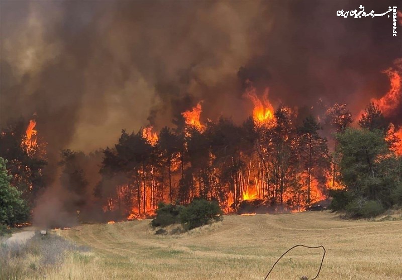  آخرین خبرها از آتش‌سوزی جهنمی، ۵ شهرک دیگر تخلیه شدند 