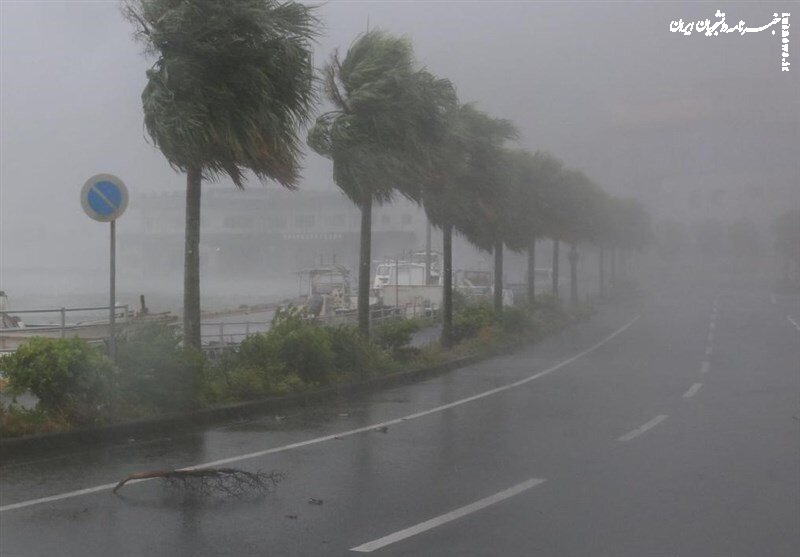 هوای استان ۷ استان طوفانی می‌شود/ خطر سرمازدگی بهاره در کمین ۱۴