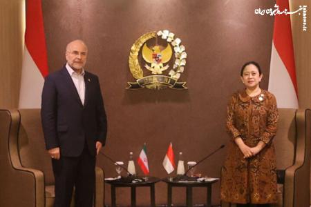 قالیباف با رئیس مجلس نمایندگان اندونزی دیدار کرد