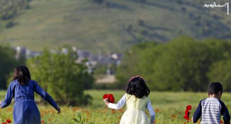 بیش از ۲۱ همت وام ازدواج و فرزندآوری از ابتدای امسال پرداخت شد