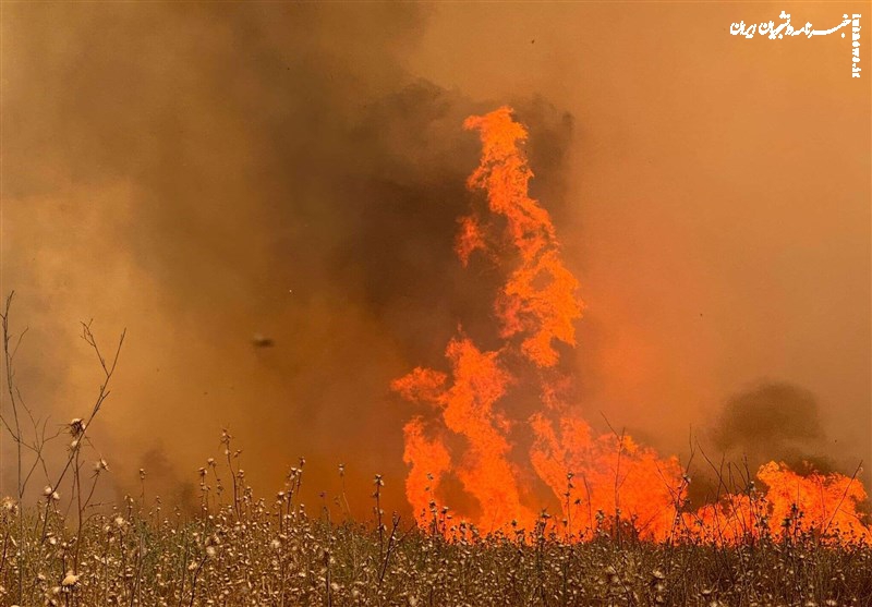 آتش سوزی‌های گسترده سرتاسر فلسطین اشغالی را فرا گرفته است
