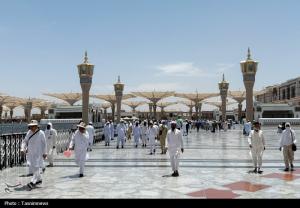 حال و هوای مسجدالنبی در ایام حج +عکس