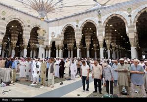 حال و هوای مسجدالنبی در ایام حج +عکس