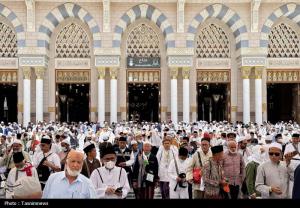 حال و هوای مسجدالنبی در ایام حج +عکس