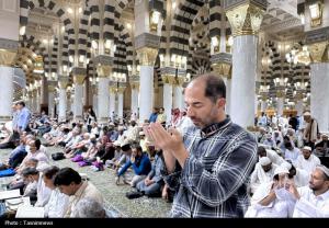 حال و هوای مسجدالنبی در ایام حج +عکس