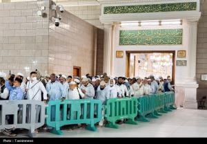 حال و هوای مسجدالنبی در ایام حج +عکس