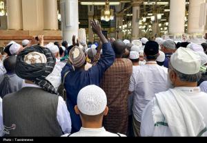 حال و هوای مسجدالنبی در ایام حج +عکس