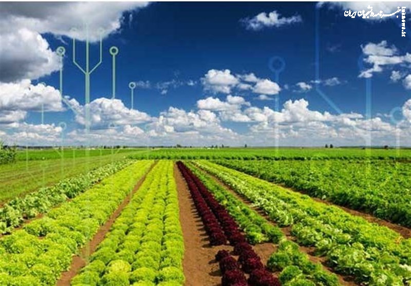 خودکفایی ۹۰ درصدی محصولات کشاورزی در برنامه هفتم توسعه
