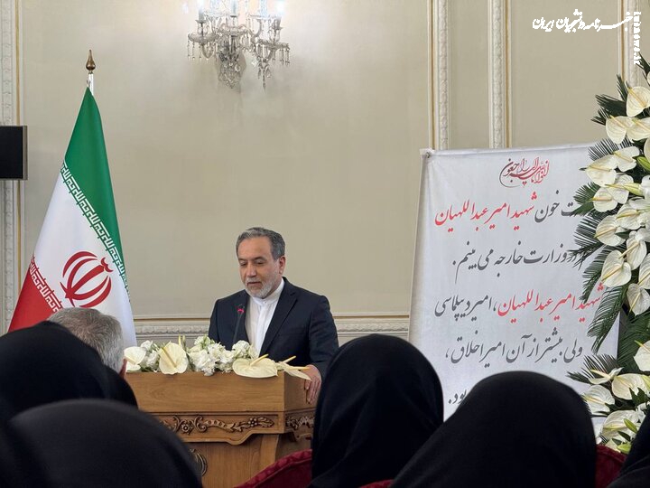 عراقچی: حرکت شهید امیرعبداللهیان در عملیات وعده صادق یک قابل تدریس است