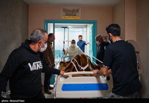 بمناسبت ۳۱ اردیبهشت روز ملی اهدای عضو،اهدای زندگی +عکس