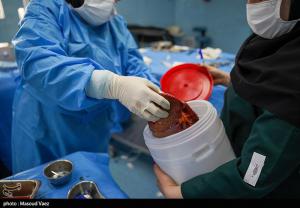 بمناسبت ۳۱ اردیبهشت روز ملی اهدای عضو،اهدای زندگی +عکس