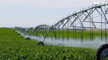  رقابت با اروپا و آمریکا در زمین کشاورزی زیستی