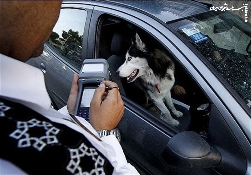 سگ‌گردانی با خودرو در اصفهان ممنوع شد