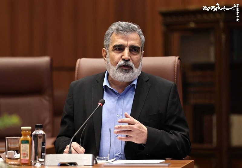 کمالوندی: آژانس انرژی اتمی به اطلاعات جاسوسی استناد می‌کند