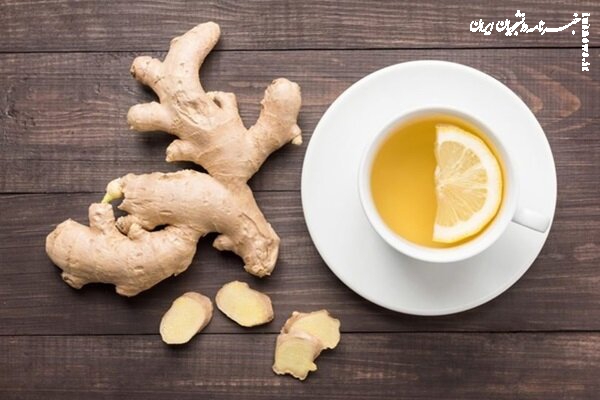 از تقویت مو تا کاهش التهاب؛ گیاهی همه‌کاره برای زندگی سالم