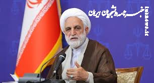 اژه‌ای:  پرونده قتل الهه حسین‌نژاد با دقت و سرعت رسیدگی می‌شود+ فیلم