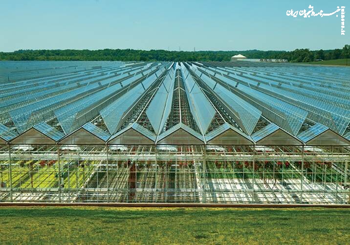 توافق شرکت شهرک‌های کشاورزی و دانشگاه صنعتی شریف برای ایجاد شهرک فناور