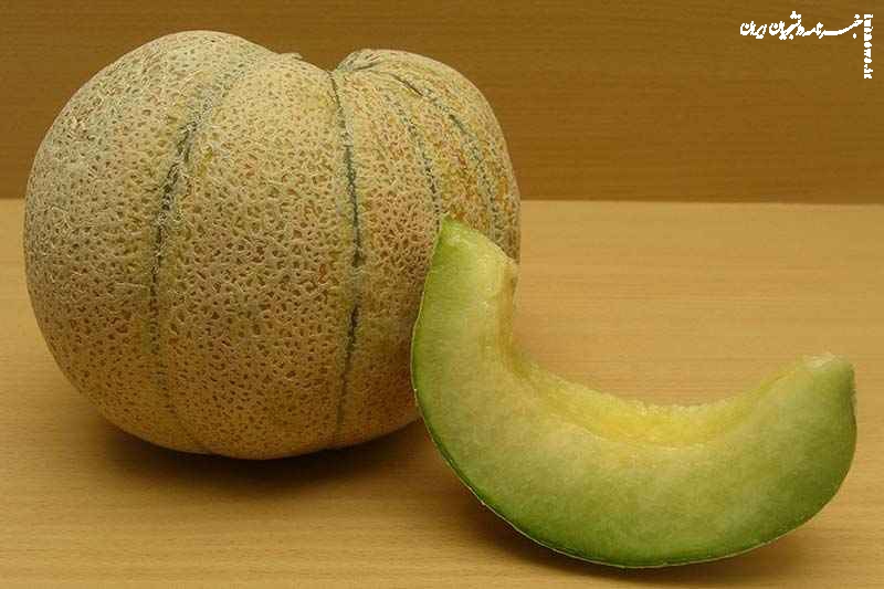 ۳ روش آسان برای تمیز کردن لکه طالبی از روی فرش