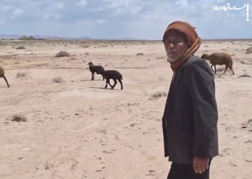 ترامپ و پیرمرد روستایی