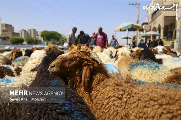 تاکید بر بهره‌گیری از ظرفیت‌های مرزی برای تقویت امنیت غذایی