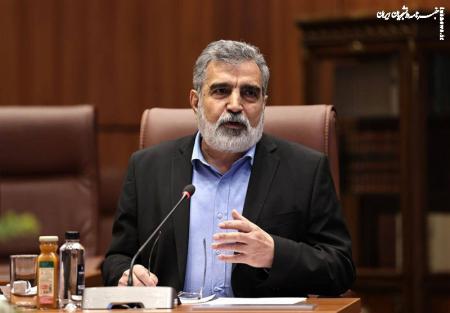 صنعت هسته‌ای متوقف نخواهد شد