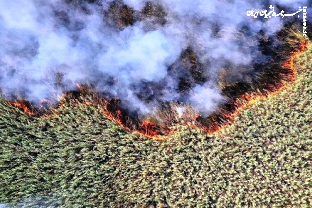 آتش‌سوزی هورالعظیم در بخش عراقی آن است؛ طرف عزاقی باید پای کار بیاید