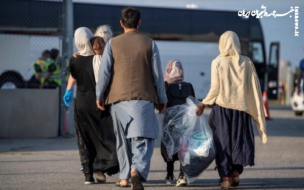 وزیر کشور: ۷۰ درصد افغان ها داوطلبانه از ایران رفتند 