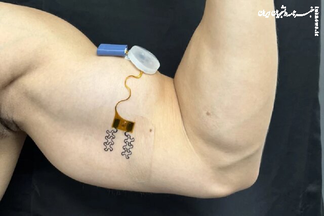  این حسگر نیاز فوری به آب را به کاربر هشدار می‌دهد