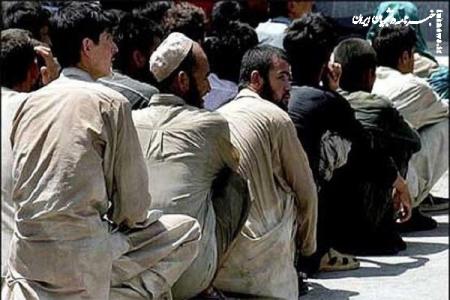 دستگیری ۳۴۱ نفر از اتباع بیگانه غیر مجاز در زابل